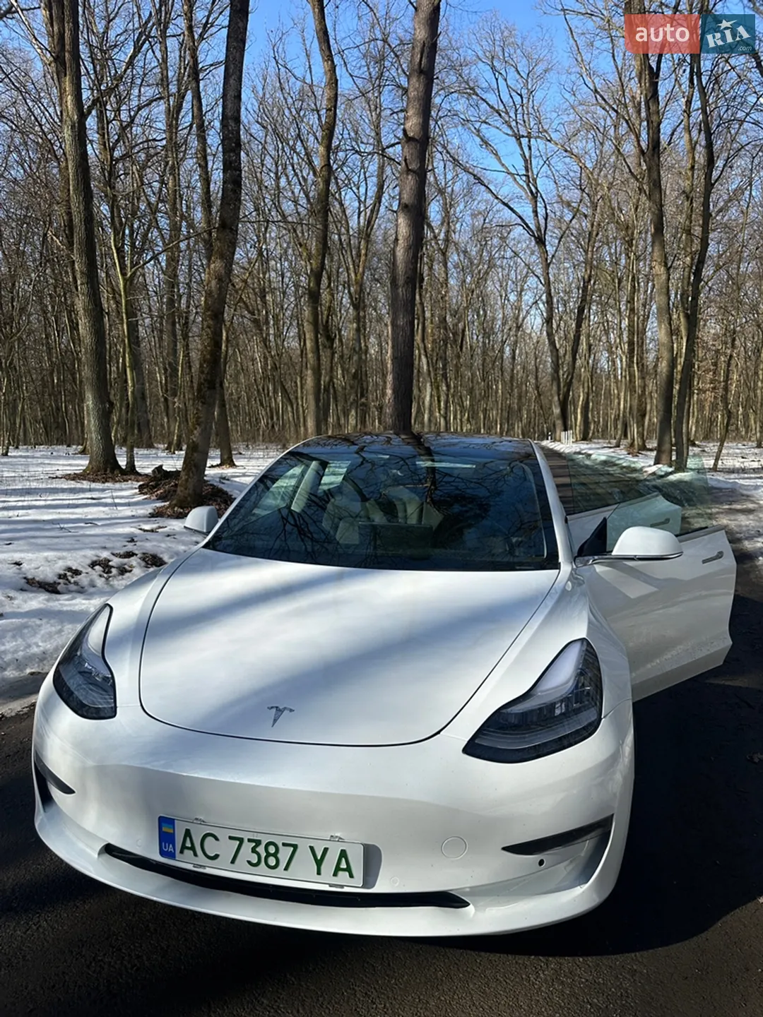 2019 Tesla Model 3 - мініатюра 14