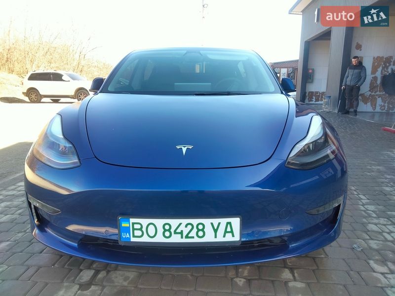 2021 Tesla Model 3, VIN 5YJ3E1EBXNF119763:plate — фото 1 (autoria)