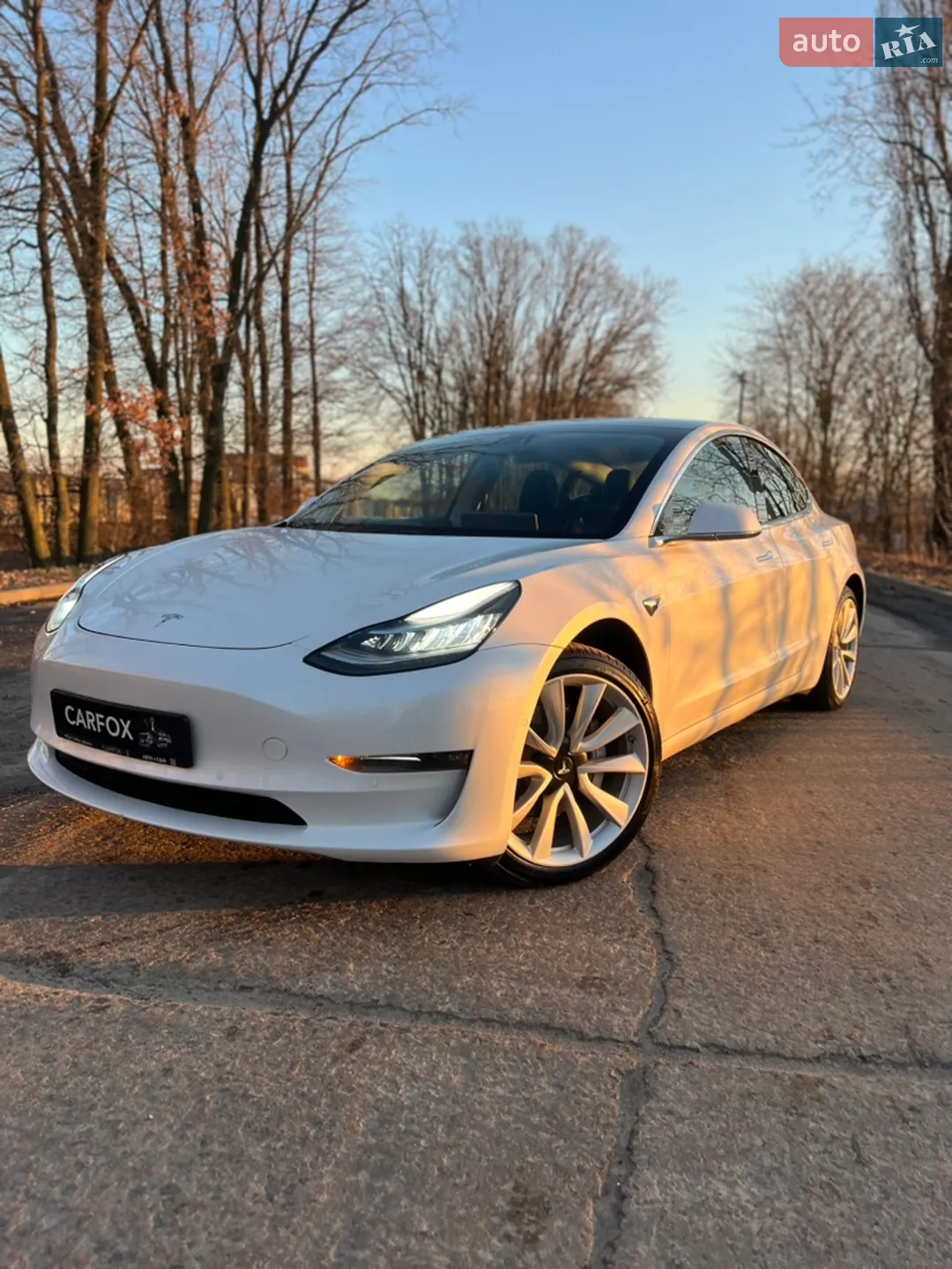 2019 Tesla Model 3 - фото 1