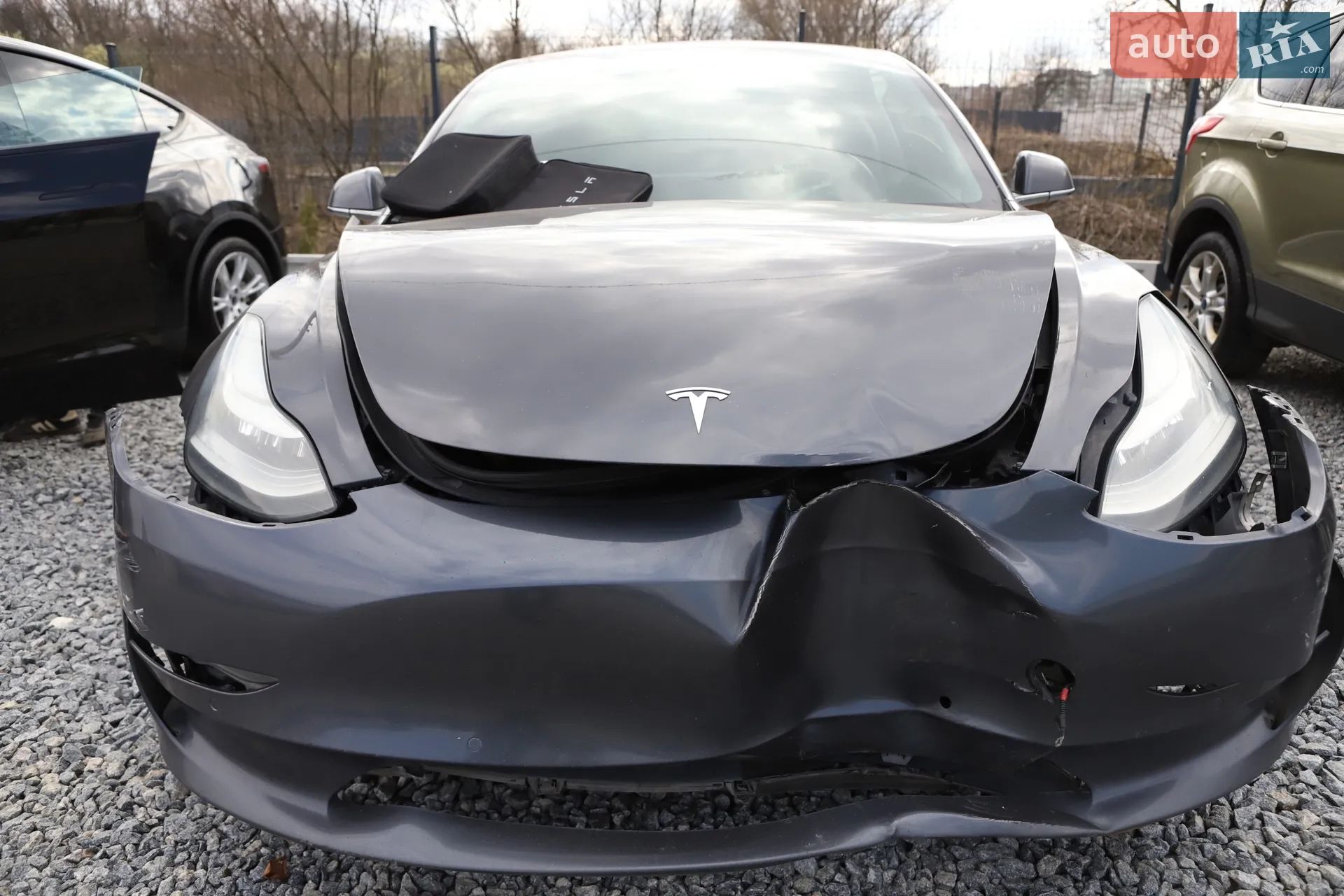 2019 Tesla Model 3 - мініатюра 3