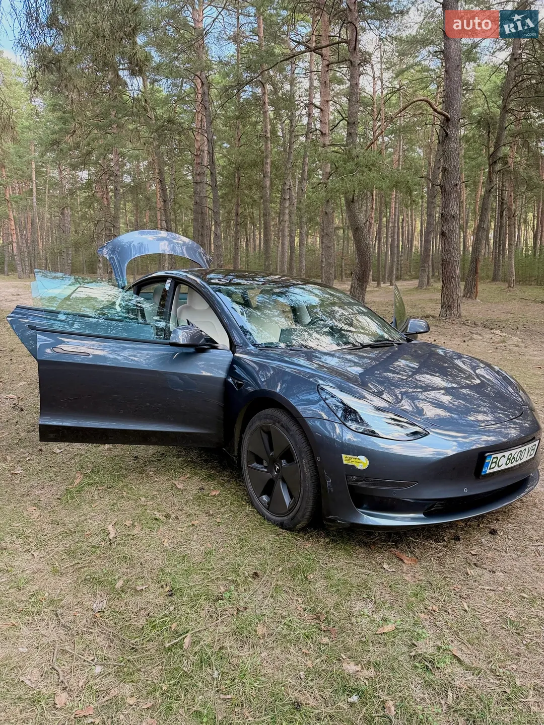 2022 Tesla Model 3 - мініатюра 24
