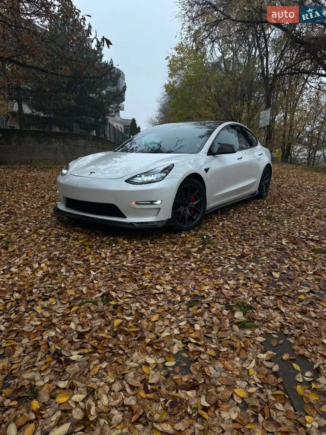 2022 Tesla Model 3 - мініатюра 3