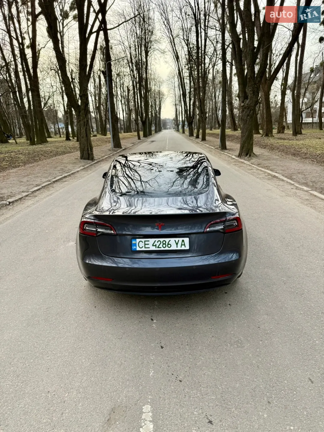 2018 Tesla Model 3 - мініатюра 4