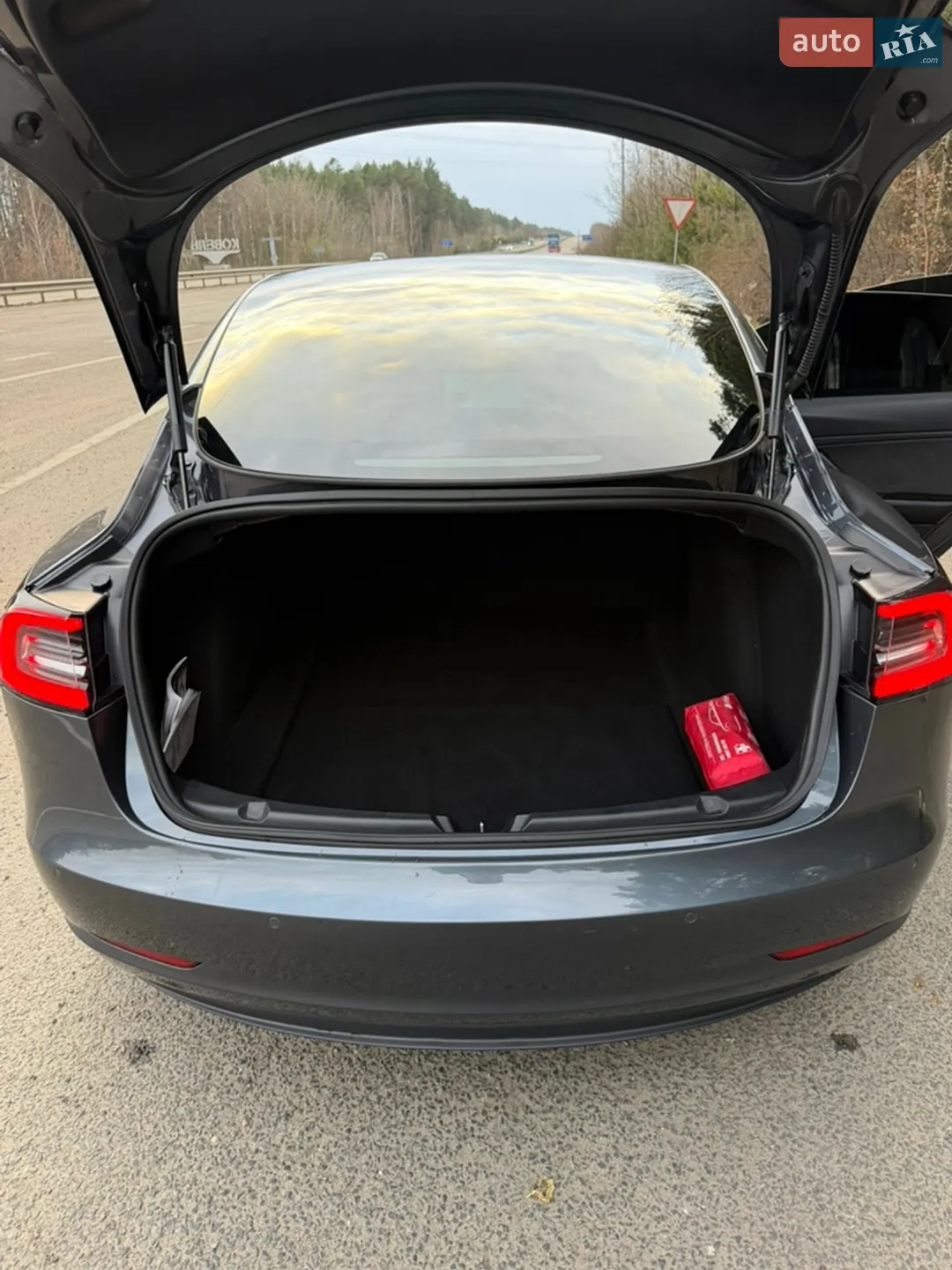 2018 Tesla Model 3 - мініатюра 32