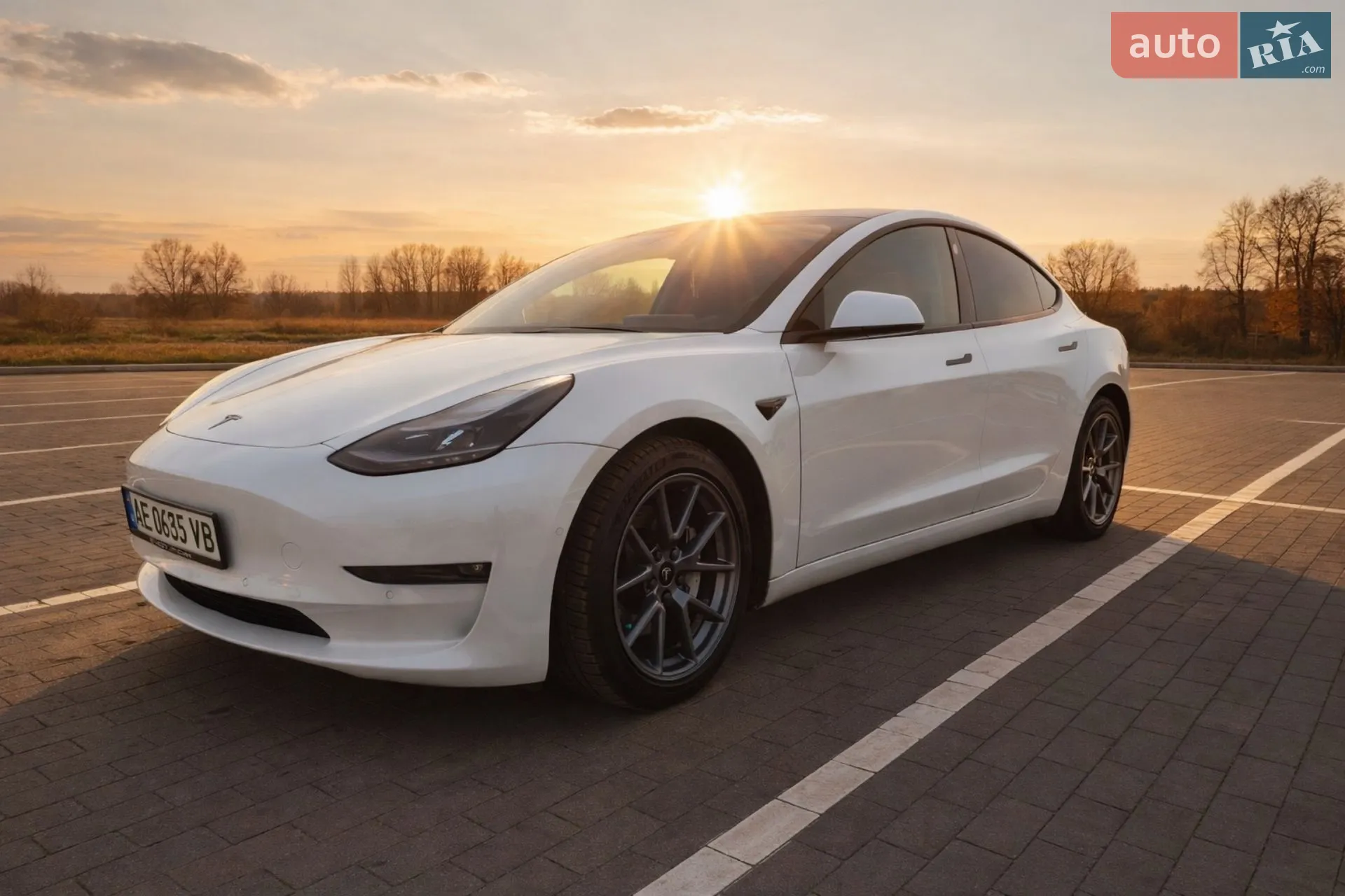 2021 Tesla Model 3 - фото 1