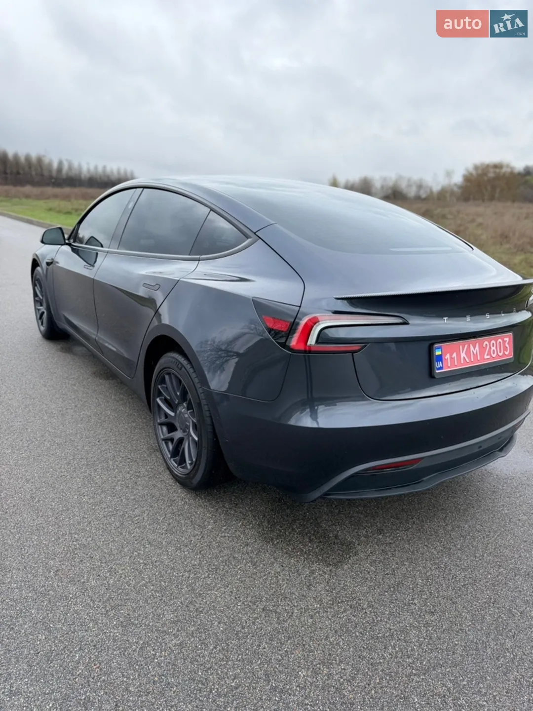 2025 Tesla Model 3 - мініатюра 9