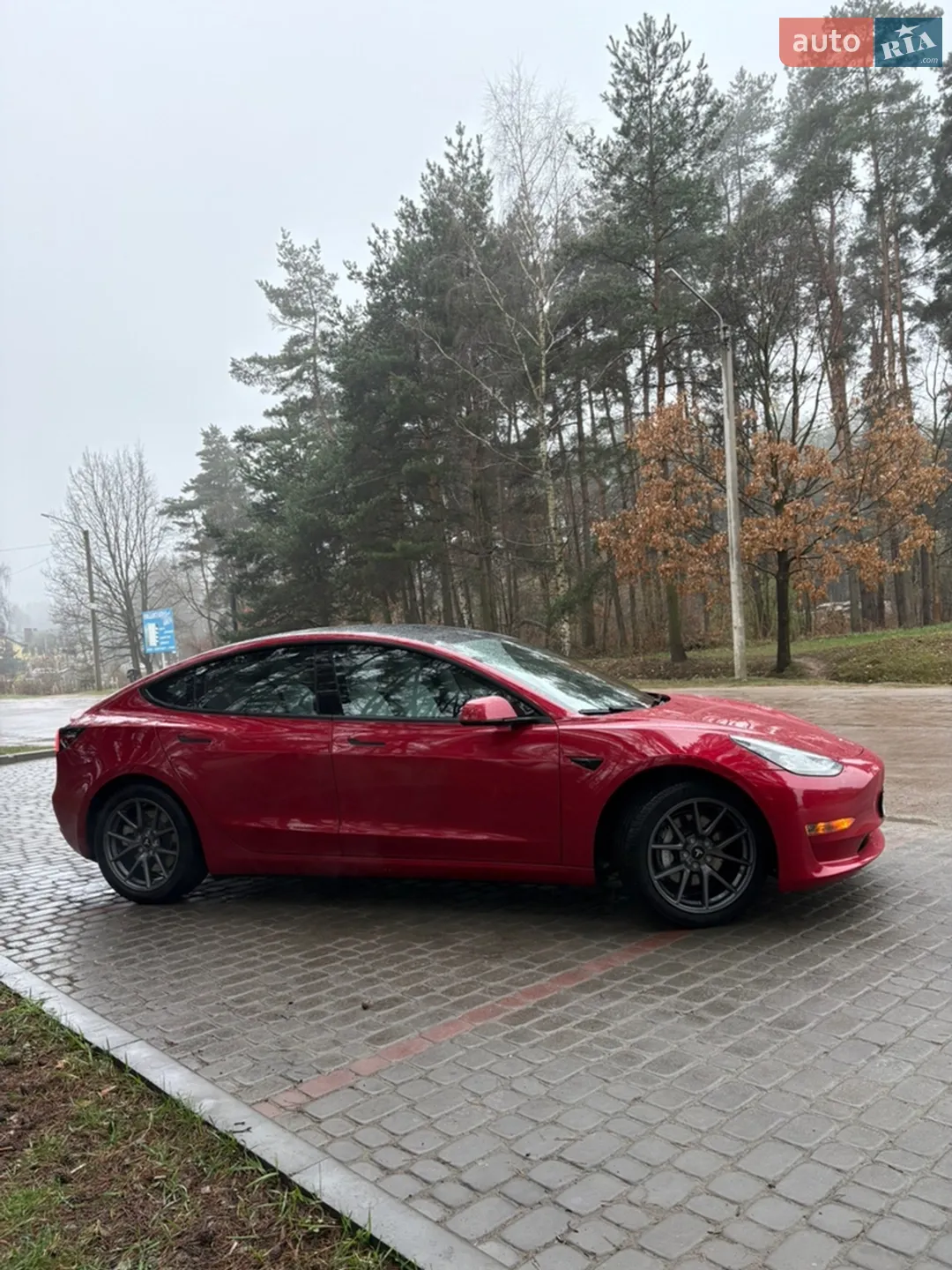 2022 Tesla Model 3 - мініатюра 3