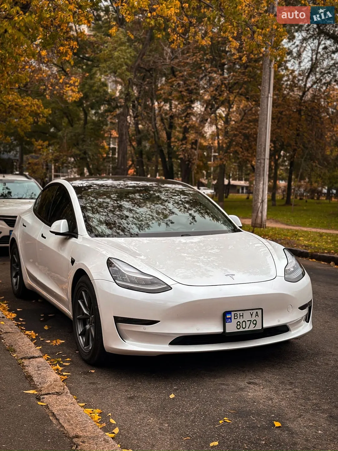 2020 Tesla Model 3 - фото 1