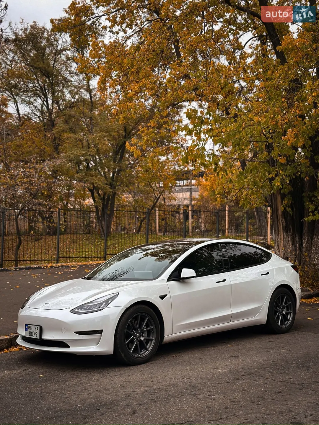 2020 Tesla Model 3 - мініатюра 2