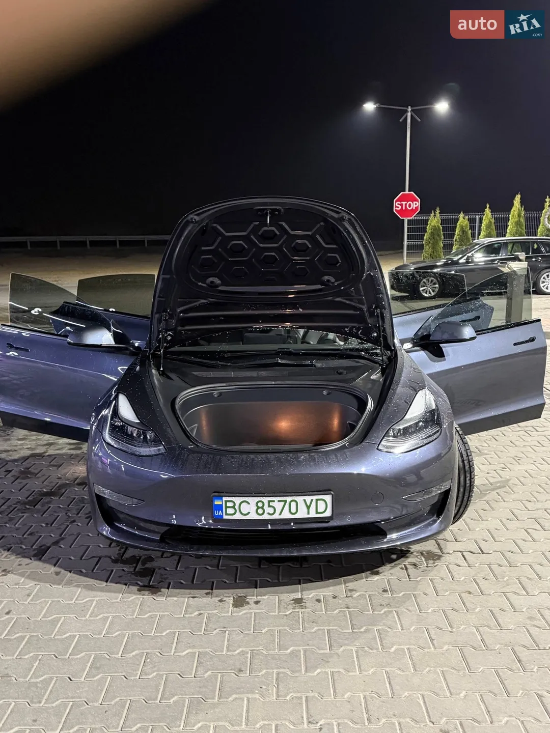 2022 Tesla Model 3 - мініатюра 30