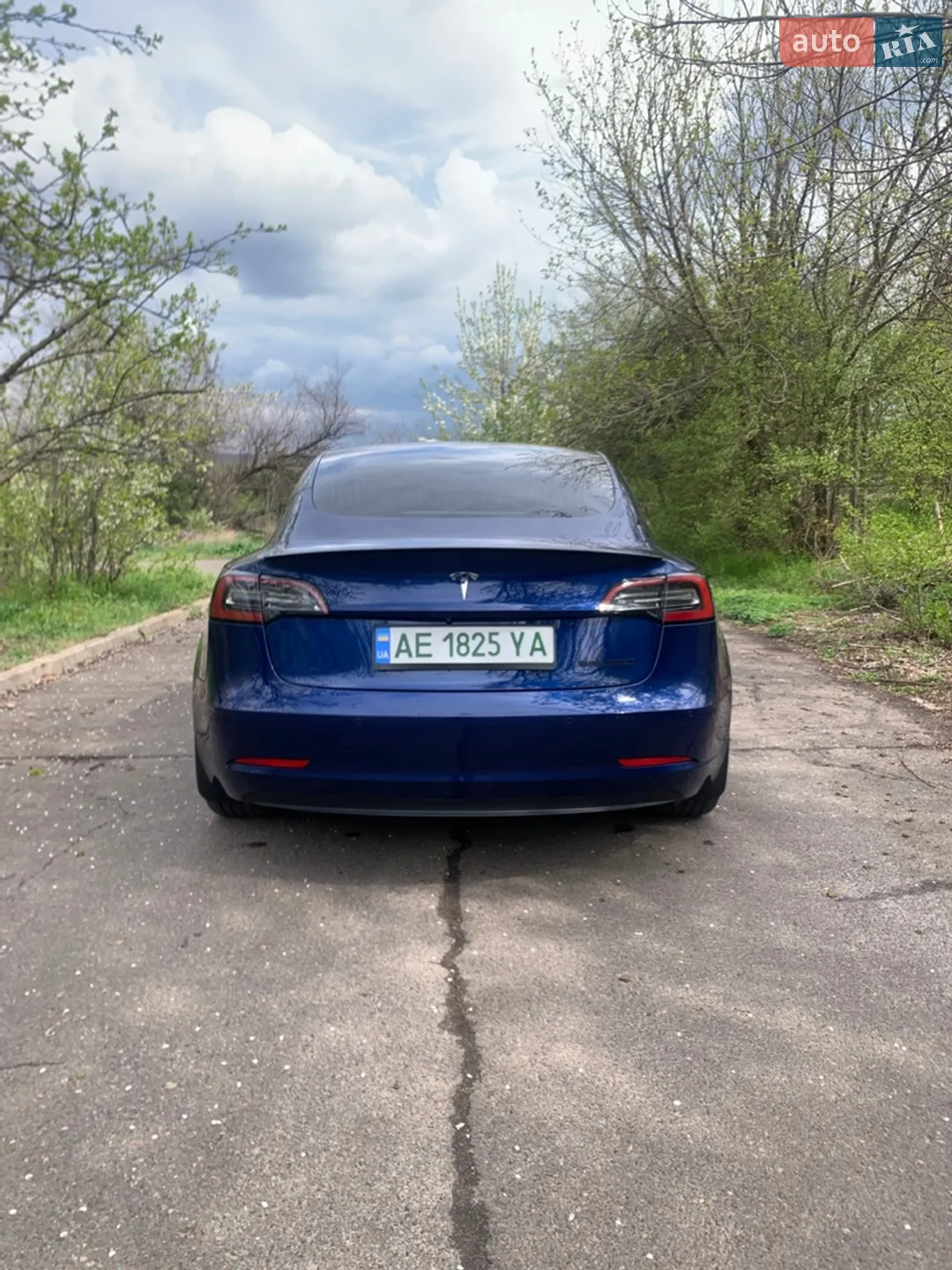 2019 Tesla Model 3 - мініатюра 11