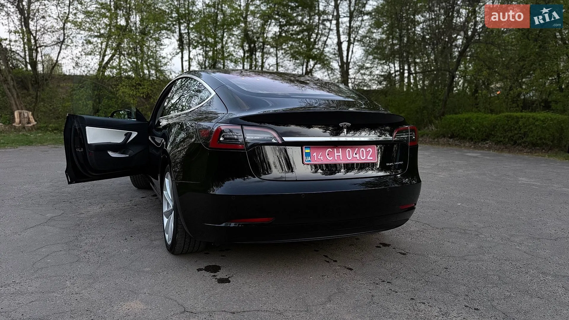 2019 Tesla Model 3 - мініатюра 8