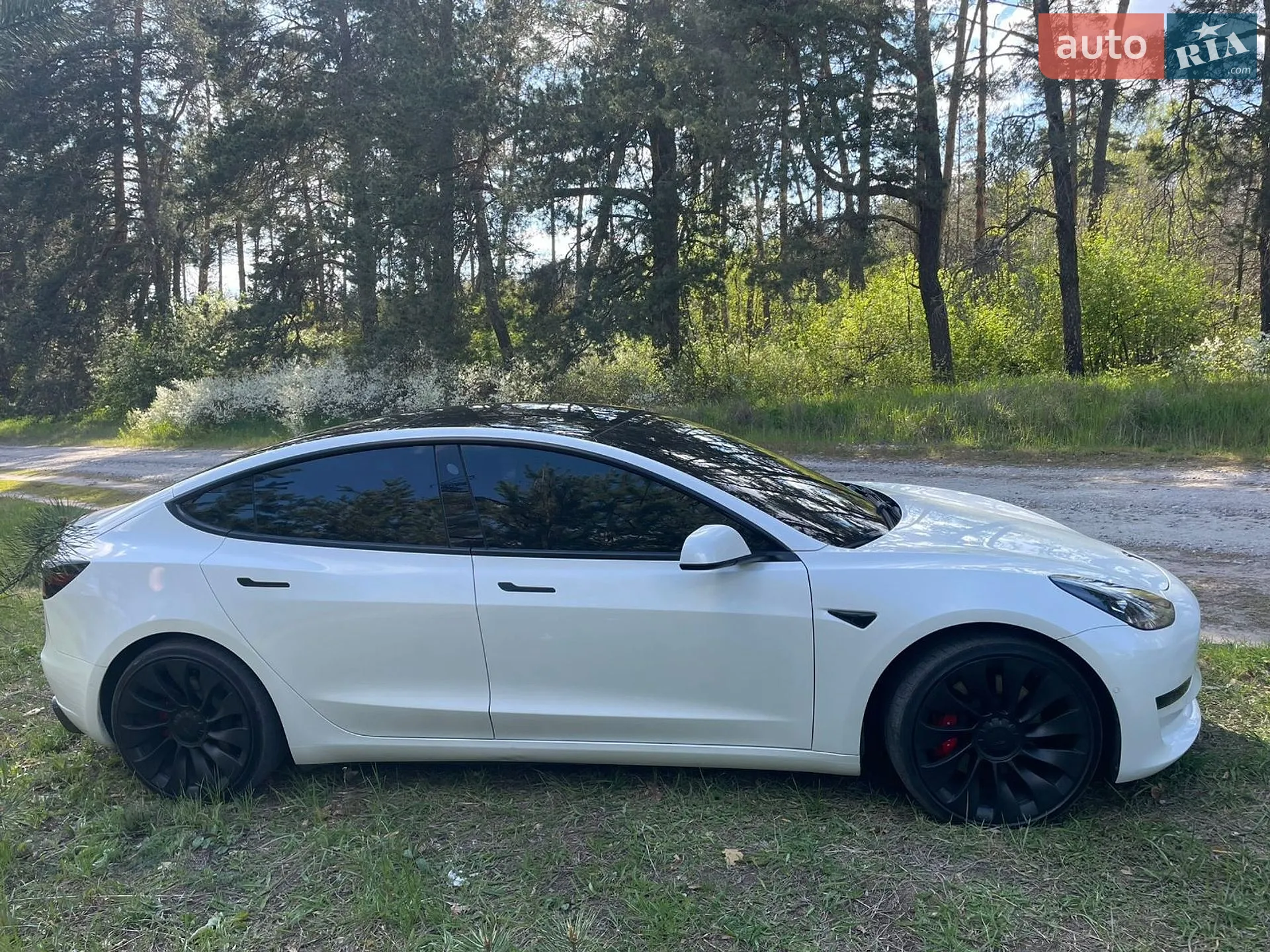 2021 Tesla Model 3 - мініатюра 14