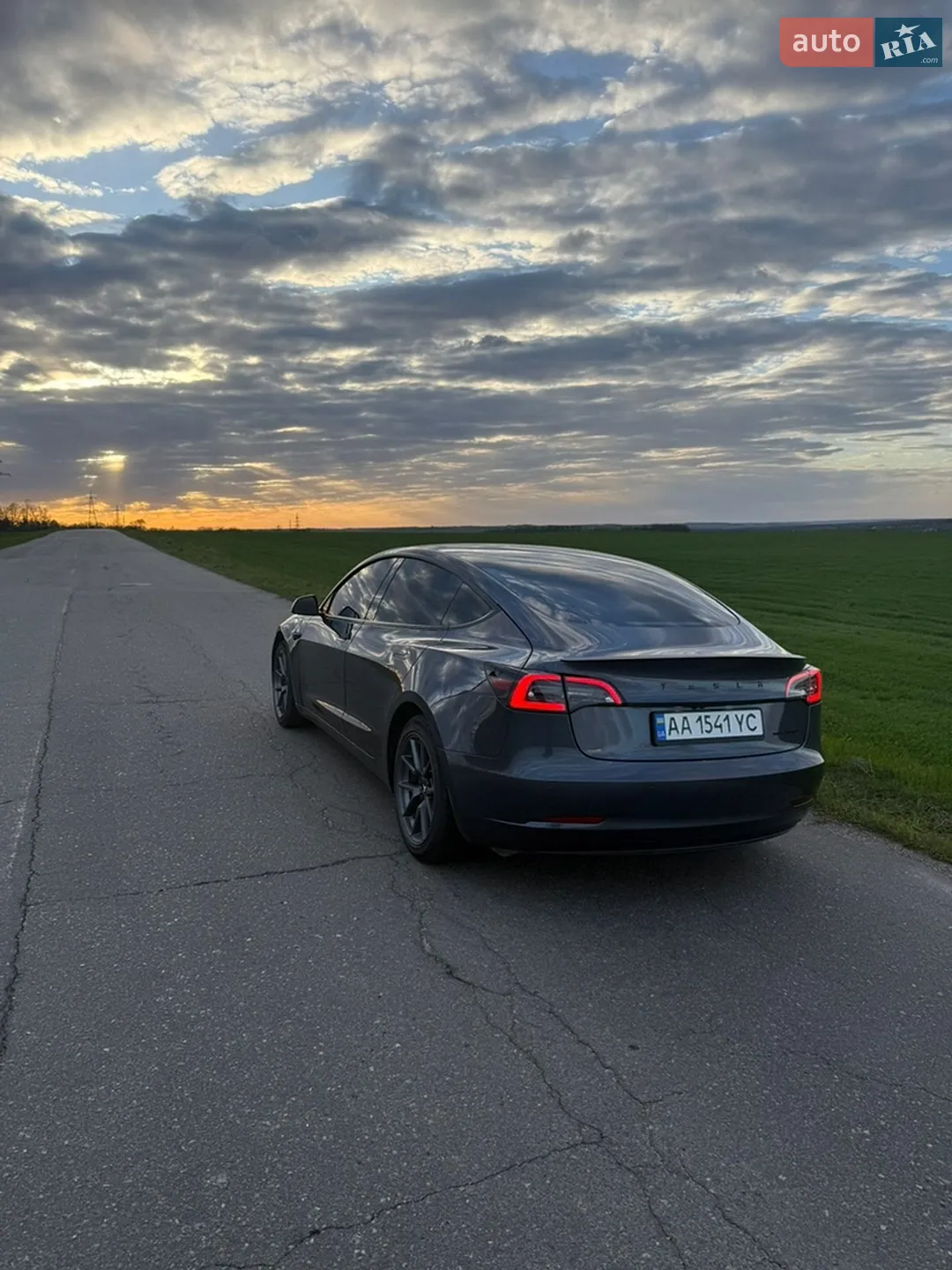 2022 Tesla Model 3 - фото 1