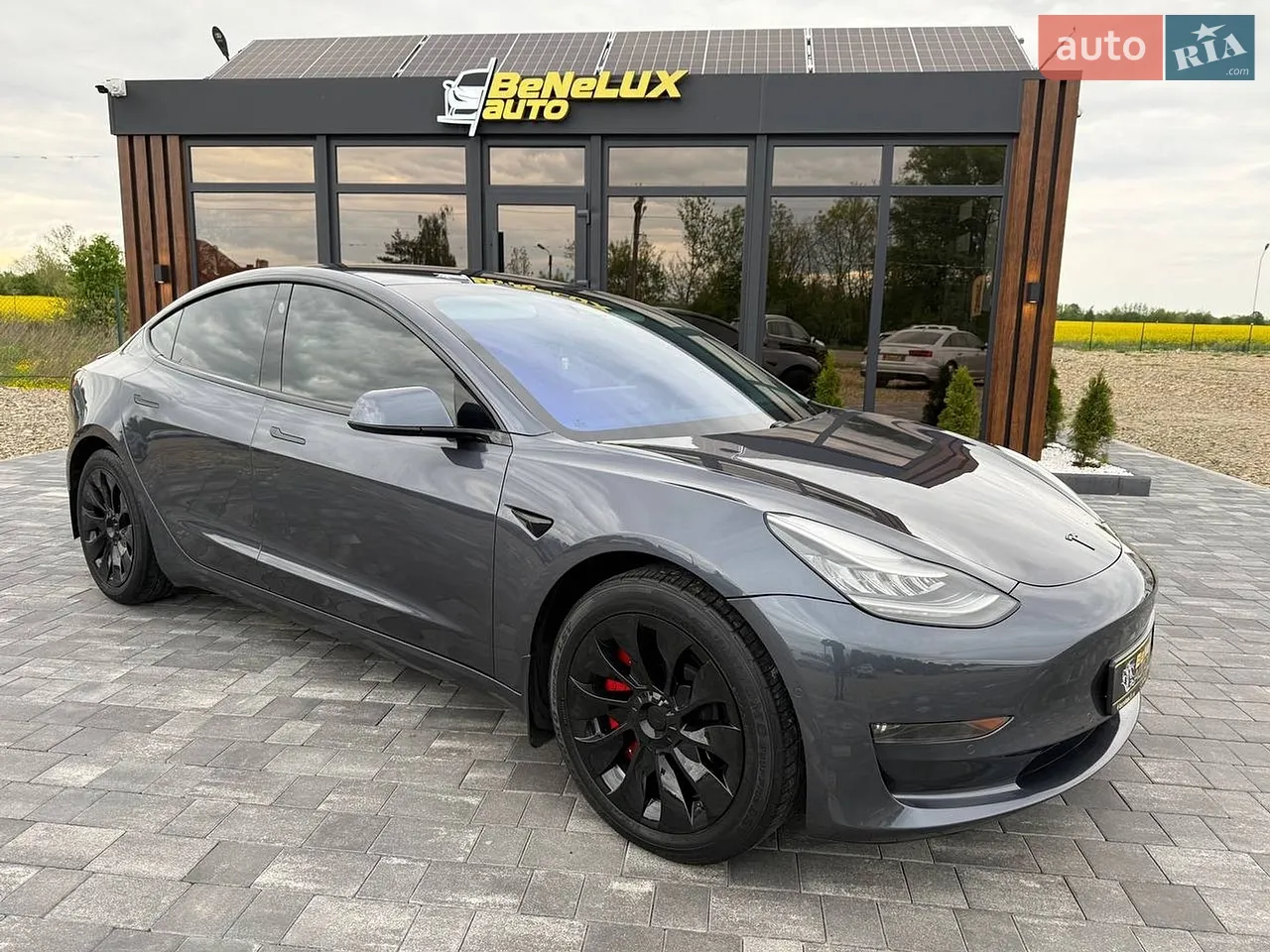 2019 Tesla Model 3 - мініатюра 16