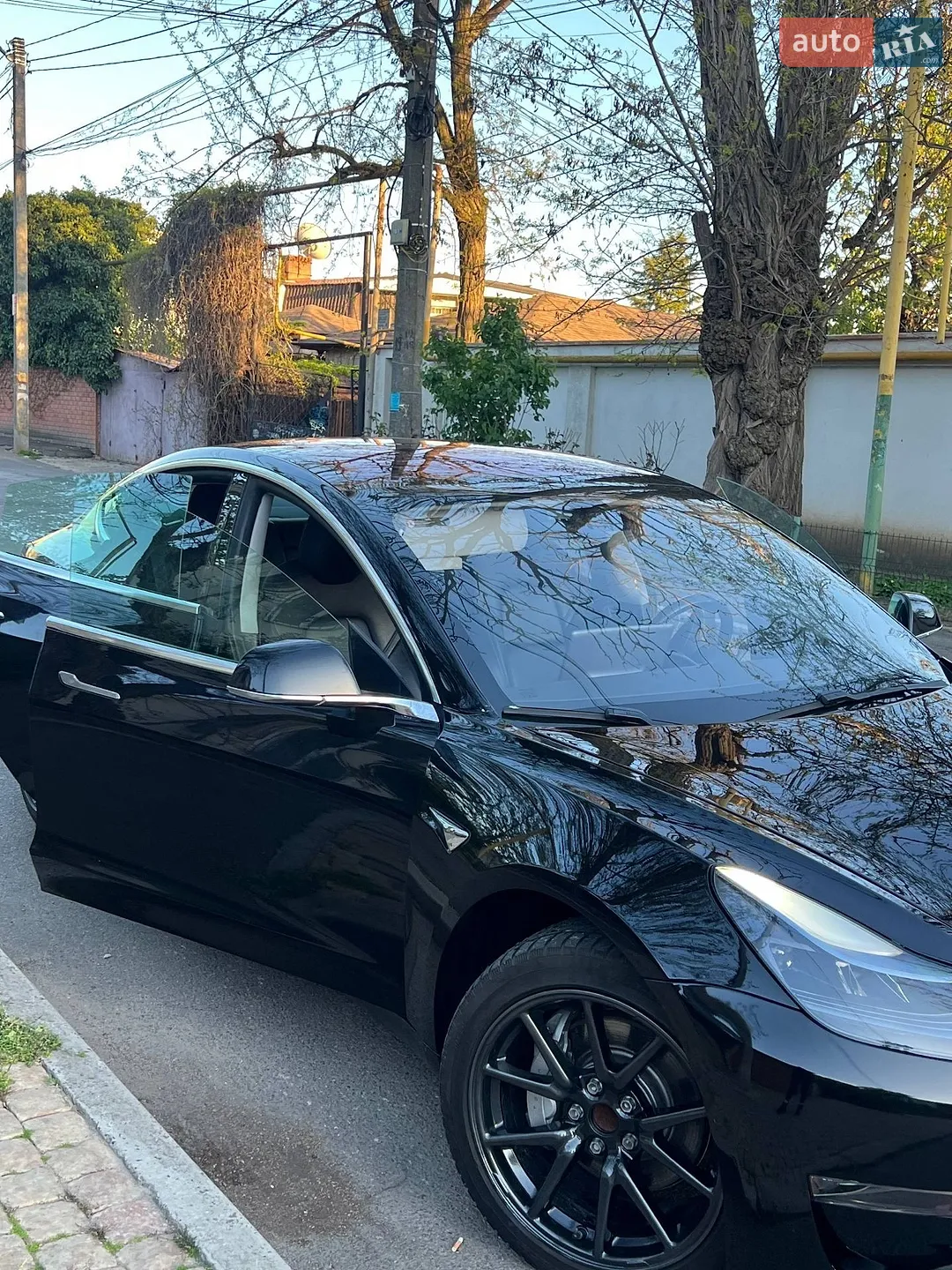 2019 Tesla Model 3 - мініатюра 44
