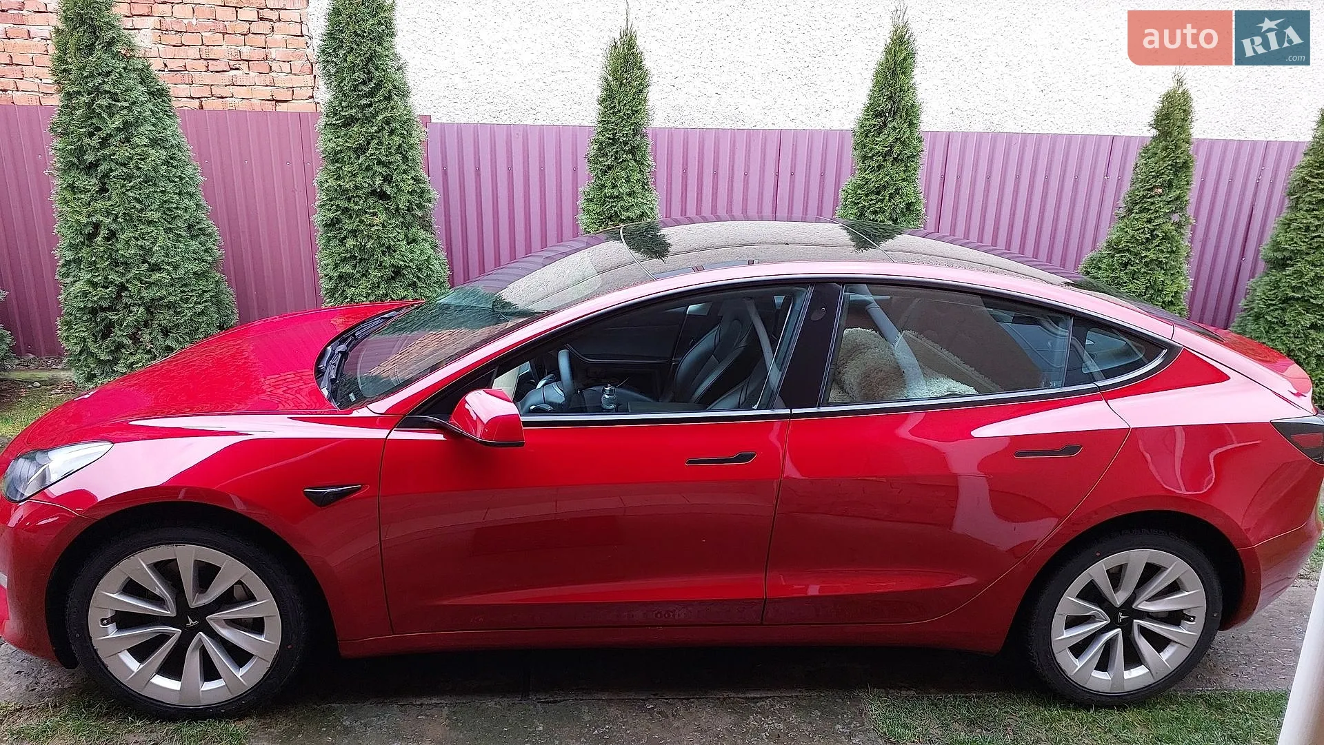 2021 Tesla Model 3 - мініатюра 10