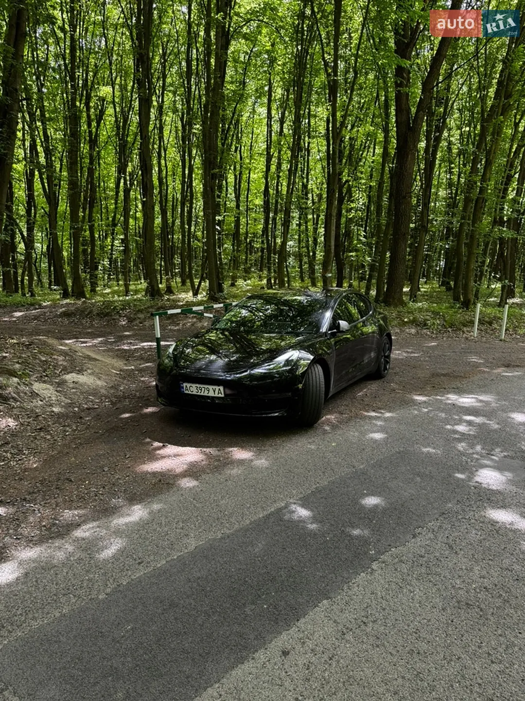 2018 Tesla Model 3 - мініатюра 2