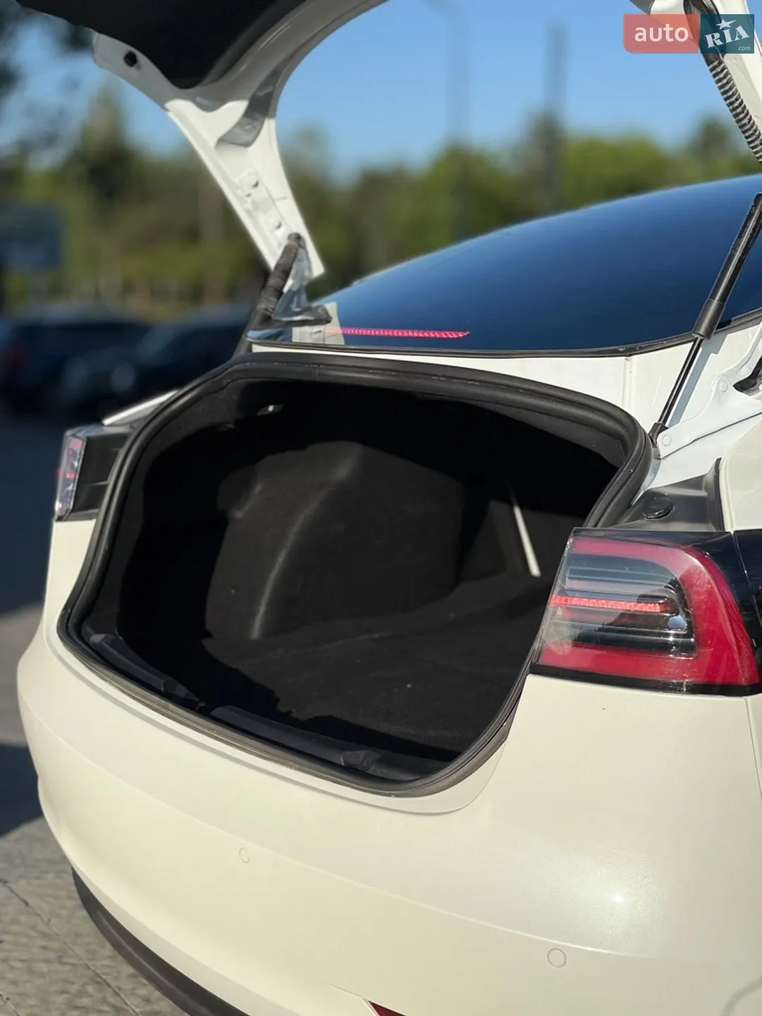 2022 Tesla Model 3 - мініатюра 10