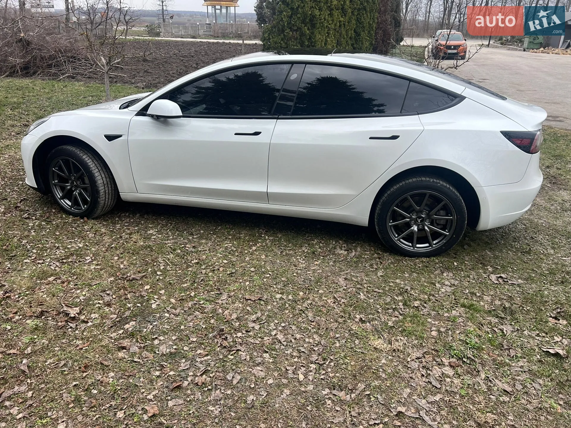 2020 Tesla Model 3 - мініатюра 9