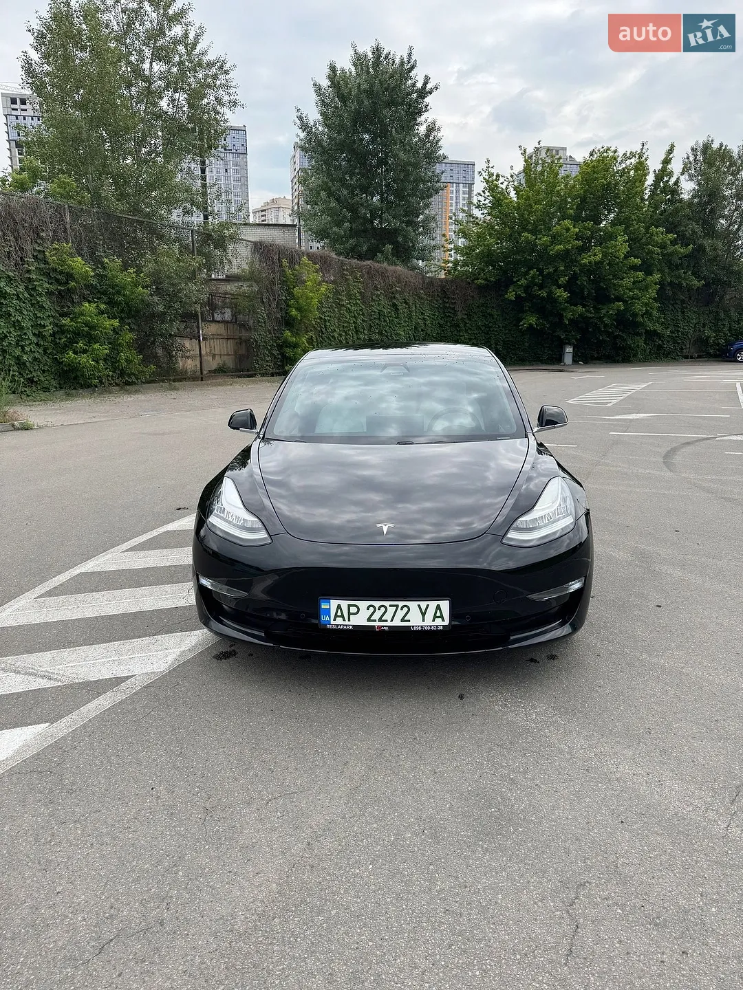 2019 Tesla Model 3 - мініатюра 2