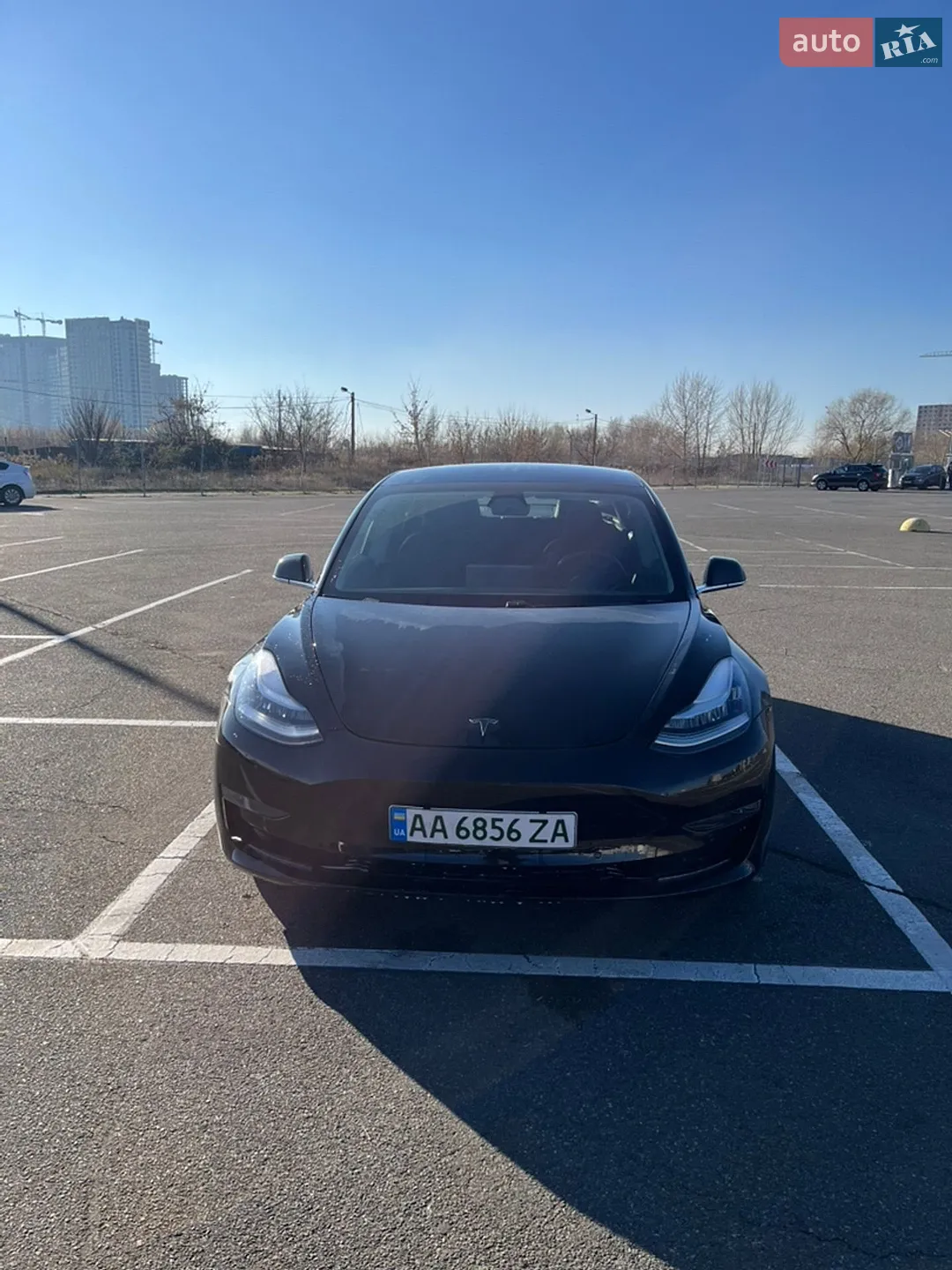 2020 Tesla Model 3 - мініатюра 4
