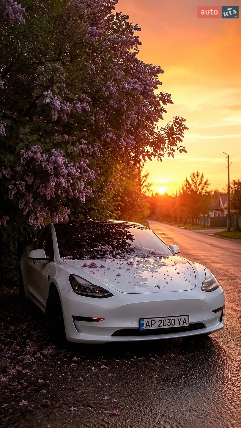 Tesla Model 3, 2021