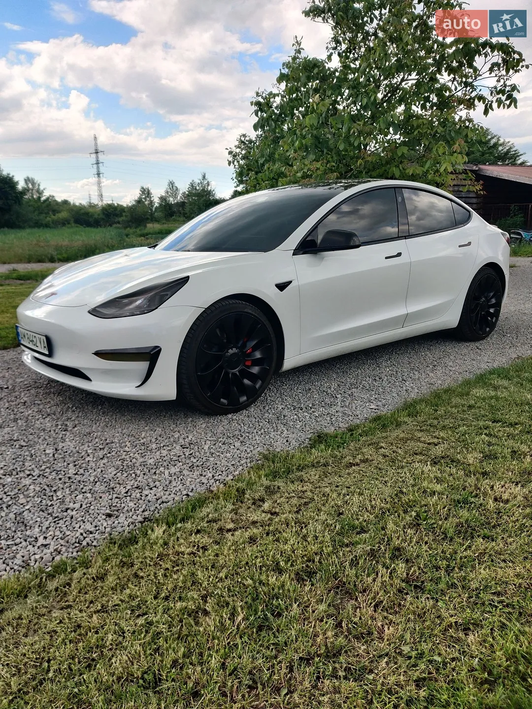 2021 Tesla Model 3 - мініатюра 3