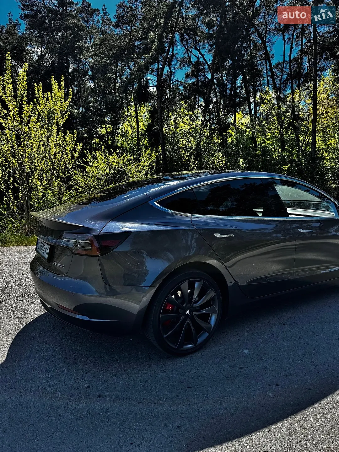 2019 Tesla Model 3 - мініатюра 8