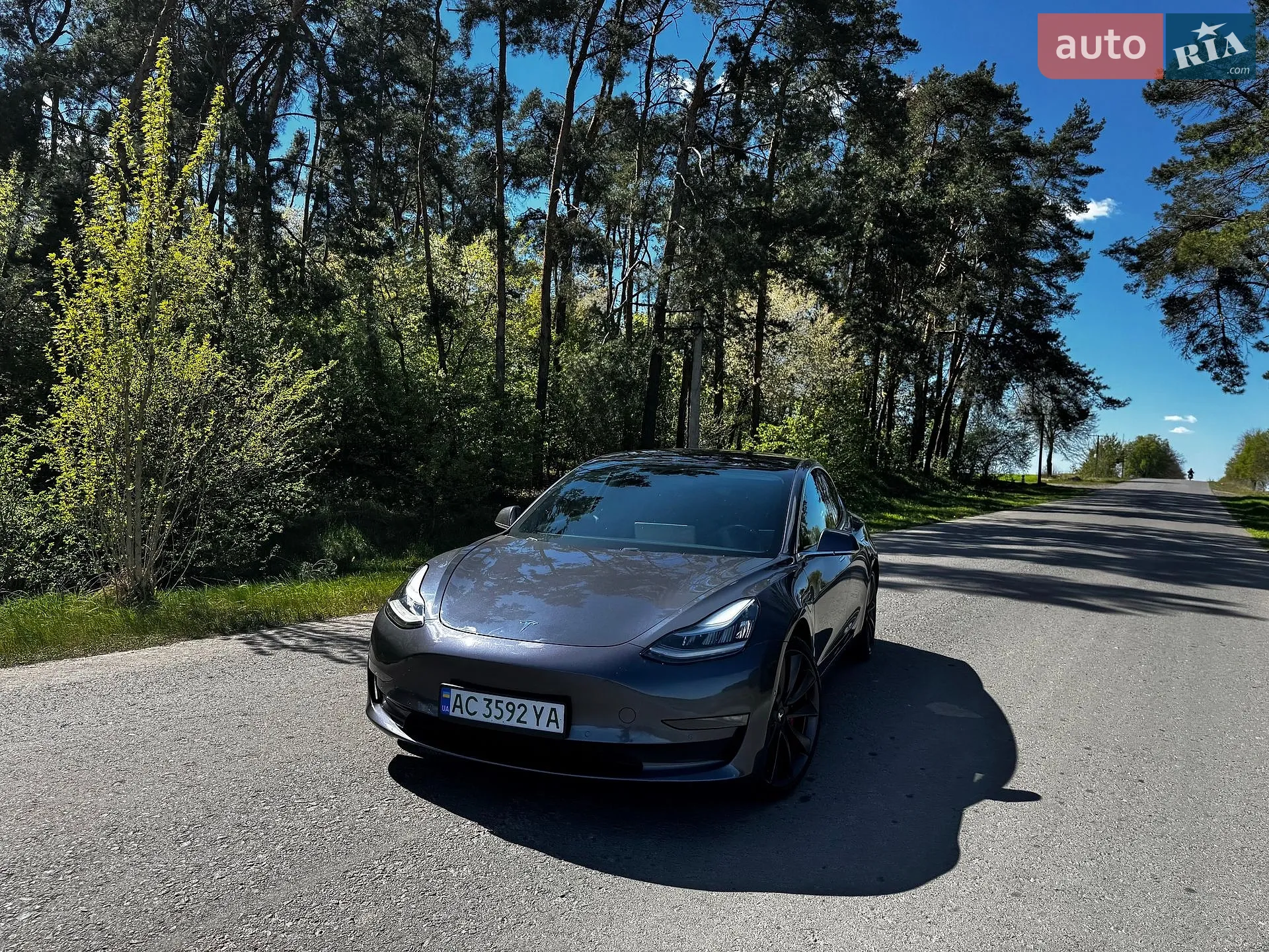 2019 Tesla Model 3 - мініатюра 26