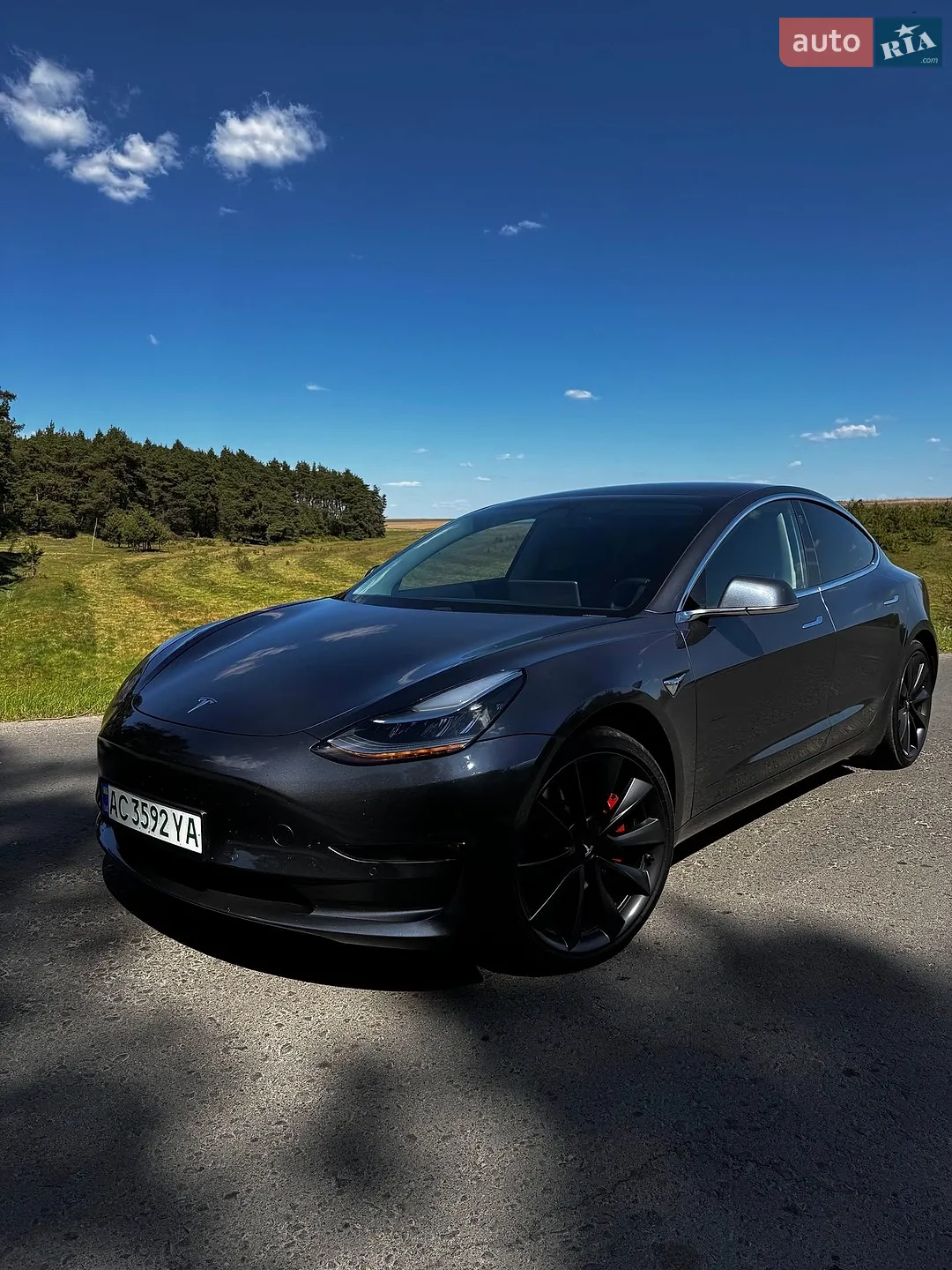 2019 Tesla Model 3 - мініатюра 11