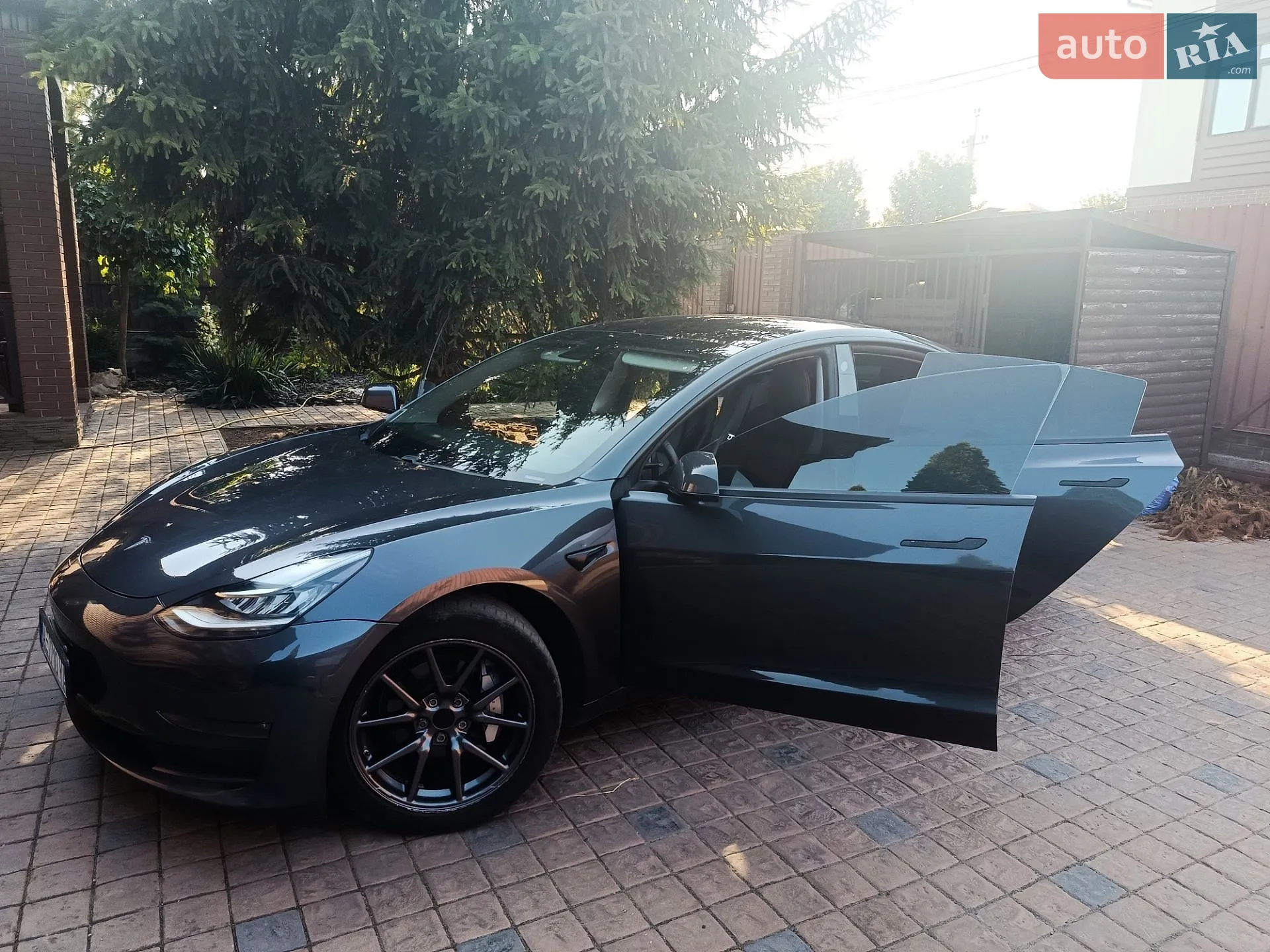 2019 Tesla Model 3 - фото 1