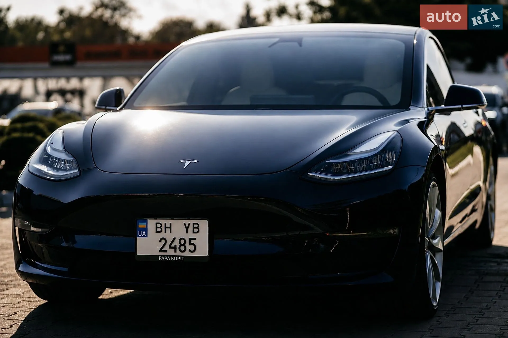 2018 Tesla Model 3 - мініатюра 2