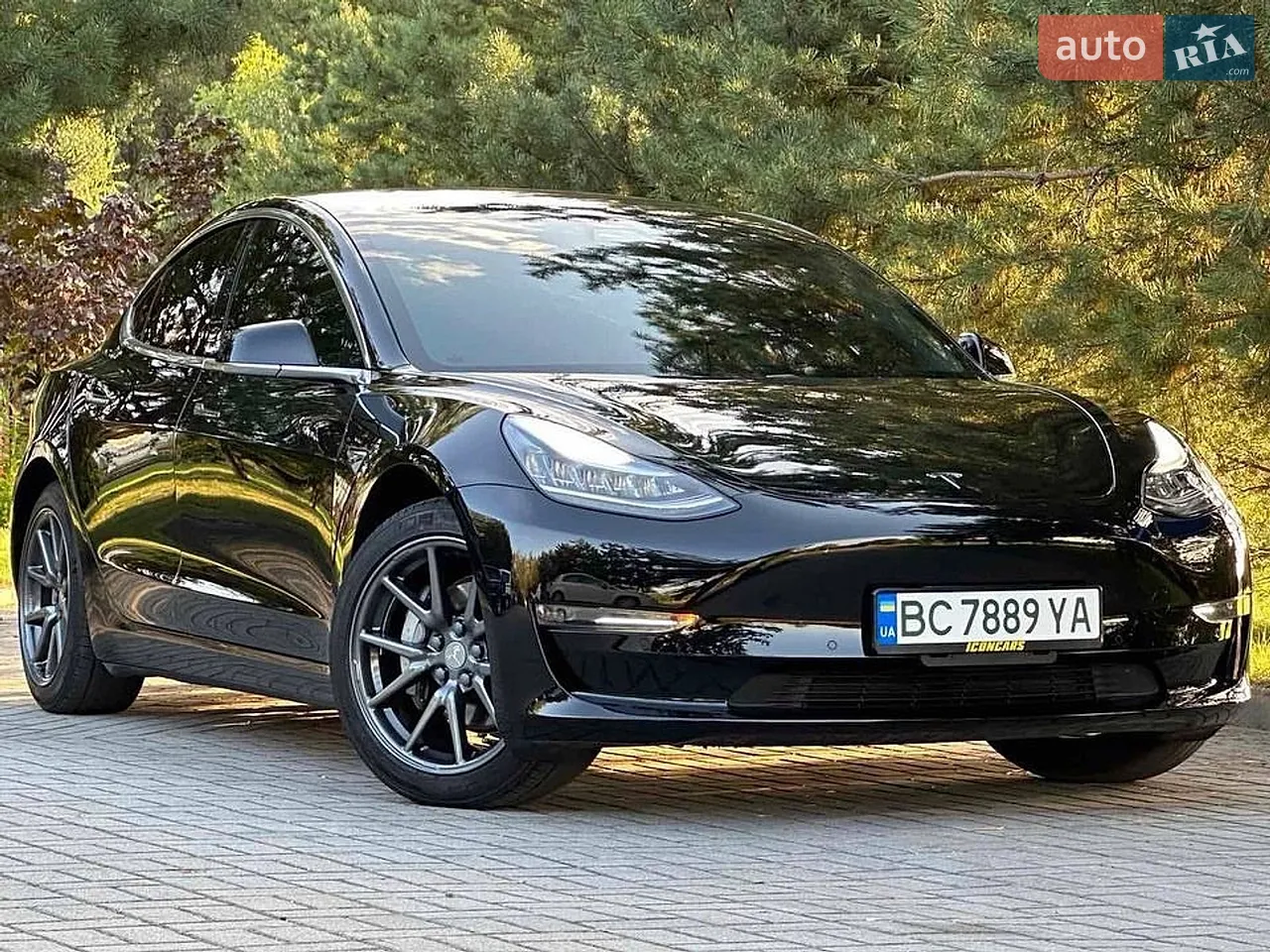 2019 Tesla Model 3 - мініатюра 18