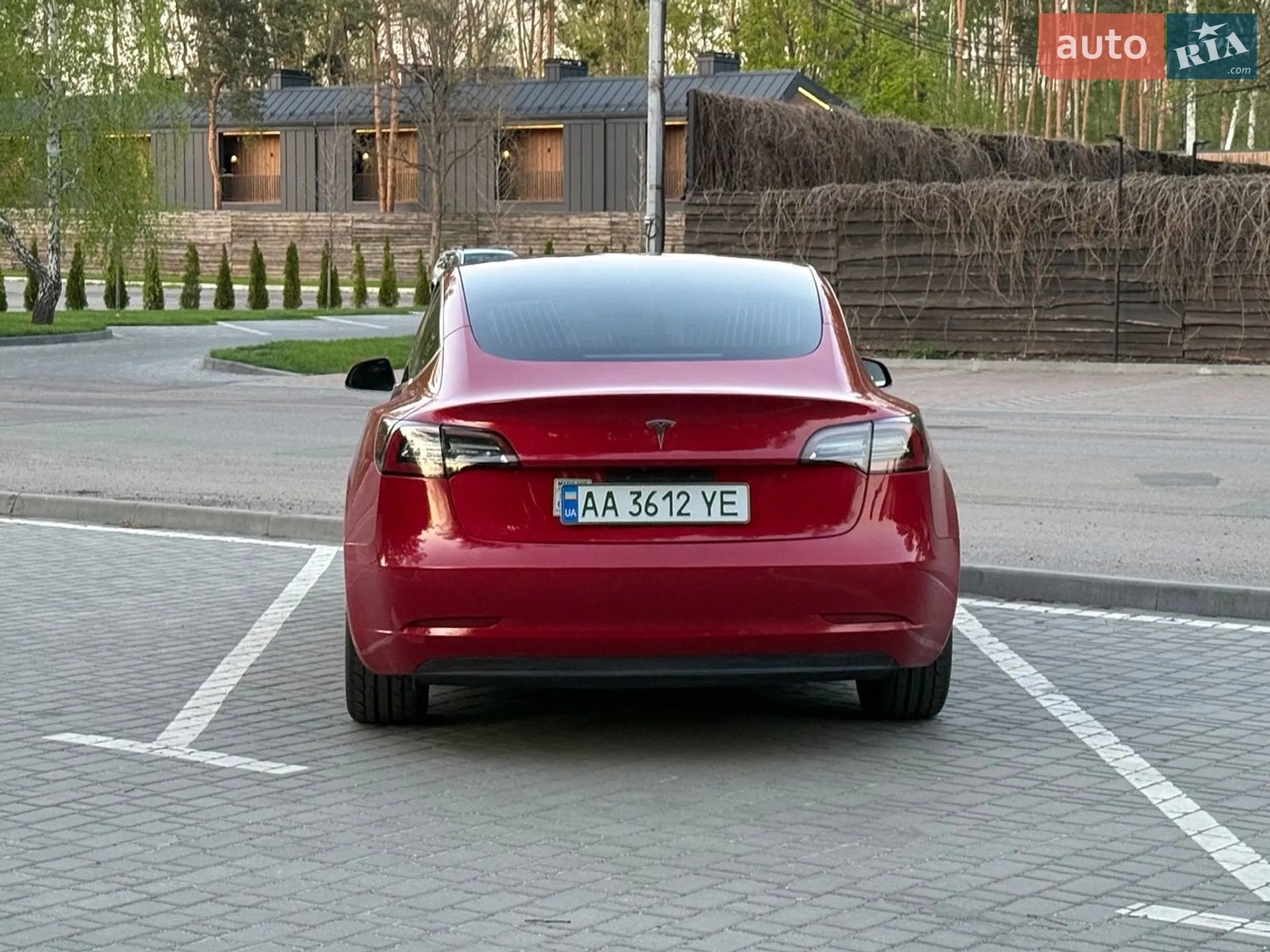2019 Tesla Model 3 - мініатюра 16
