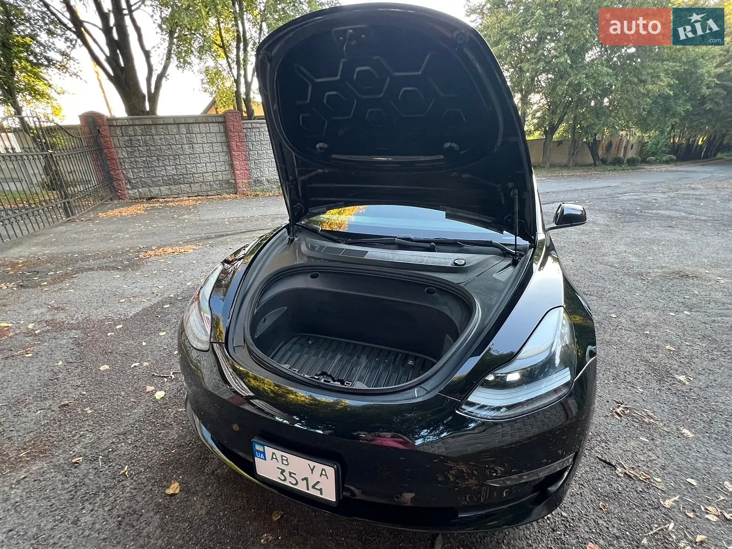 2021 Tesla Model 3 - мініатюра 9
