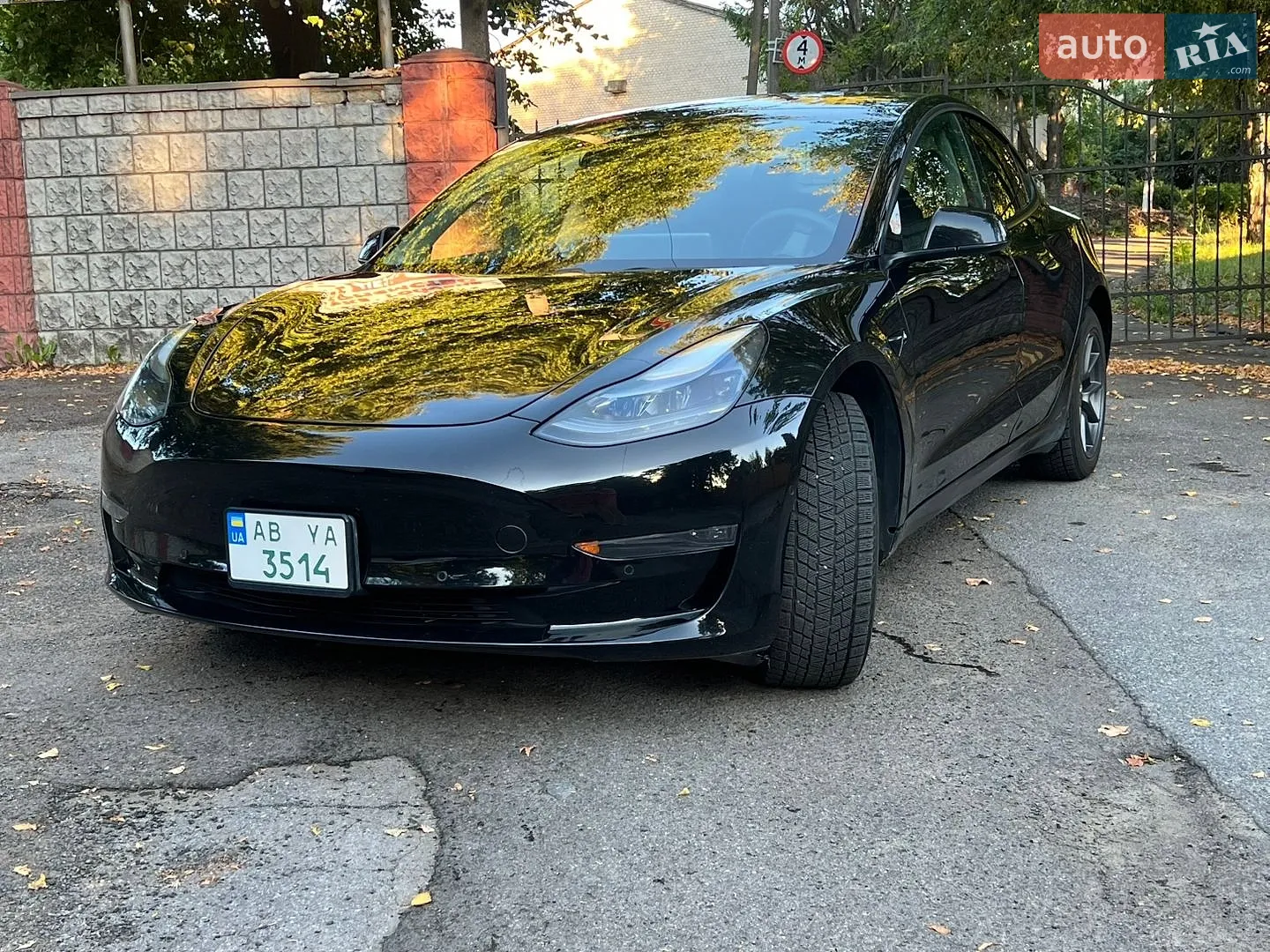 2021 Tesla Model 3 - мініатюра 11