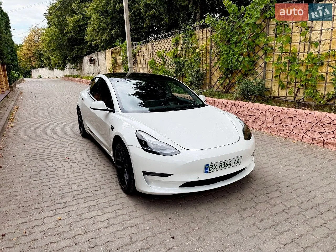 2021 Tesla Model 3 - мініатюра 3