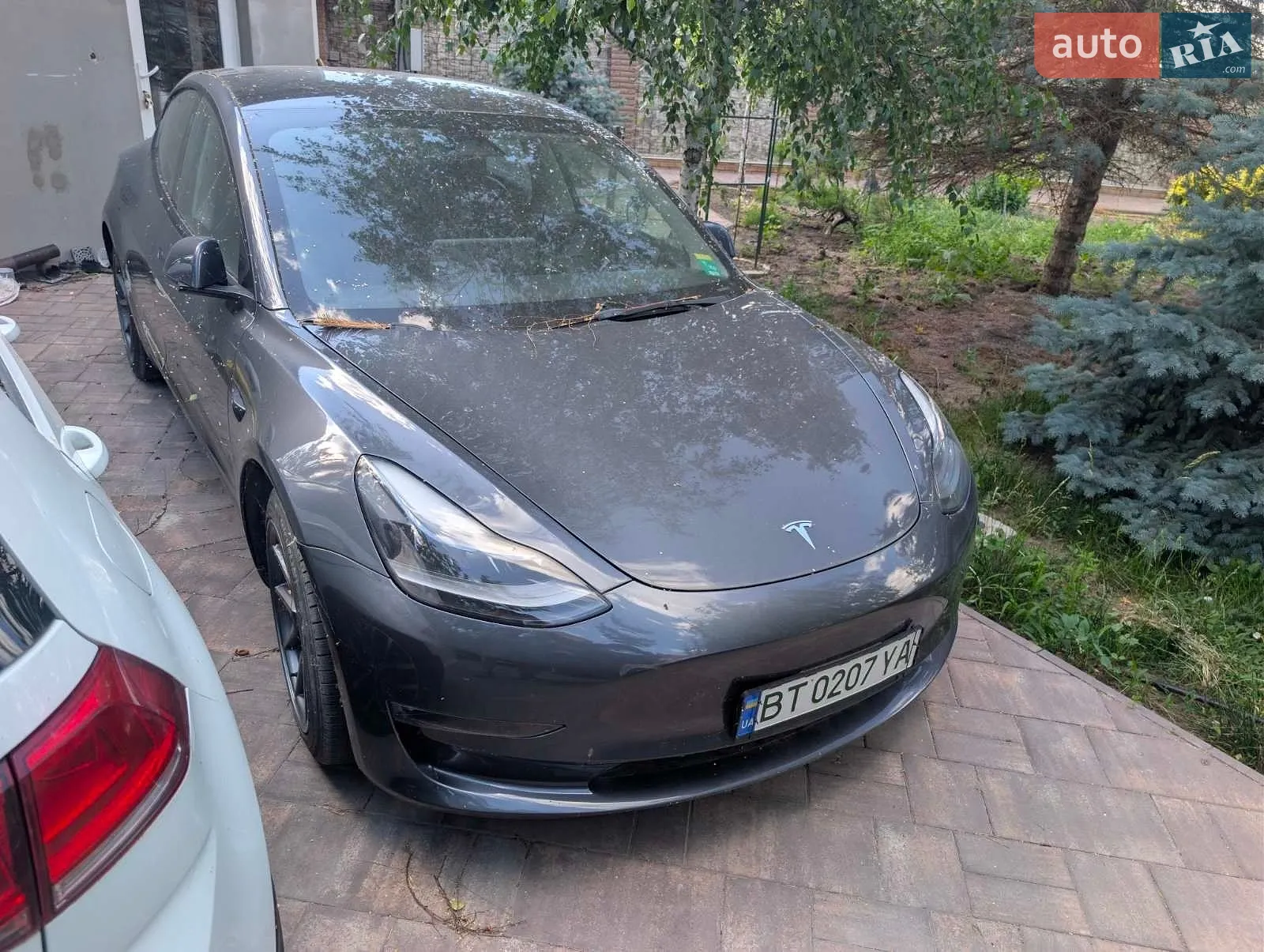 2022 Tesla Model 3 - фото 1
