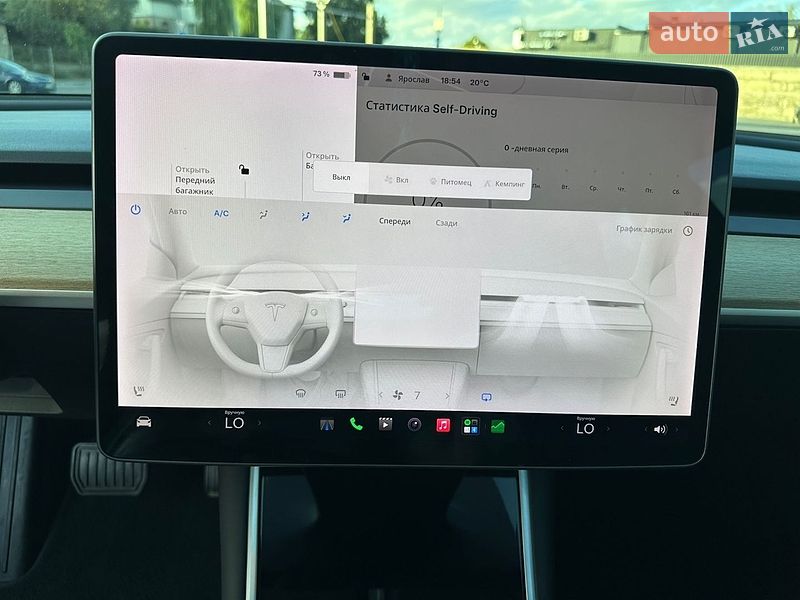 Седан Tesla Model 3 2019 в Тернополе