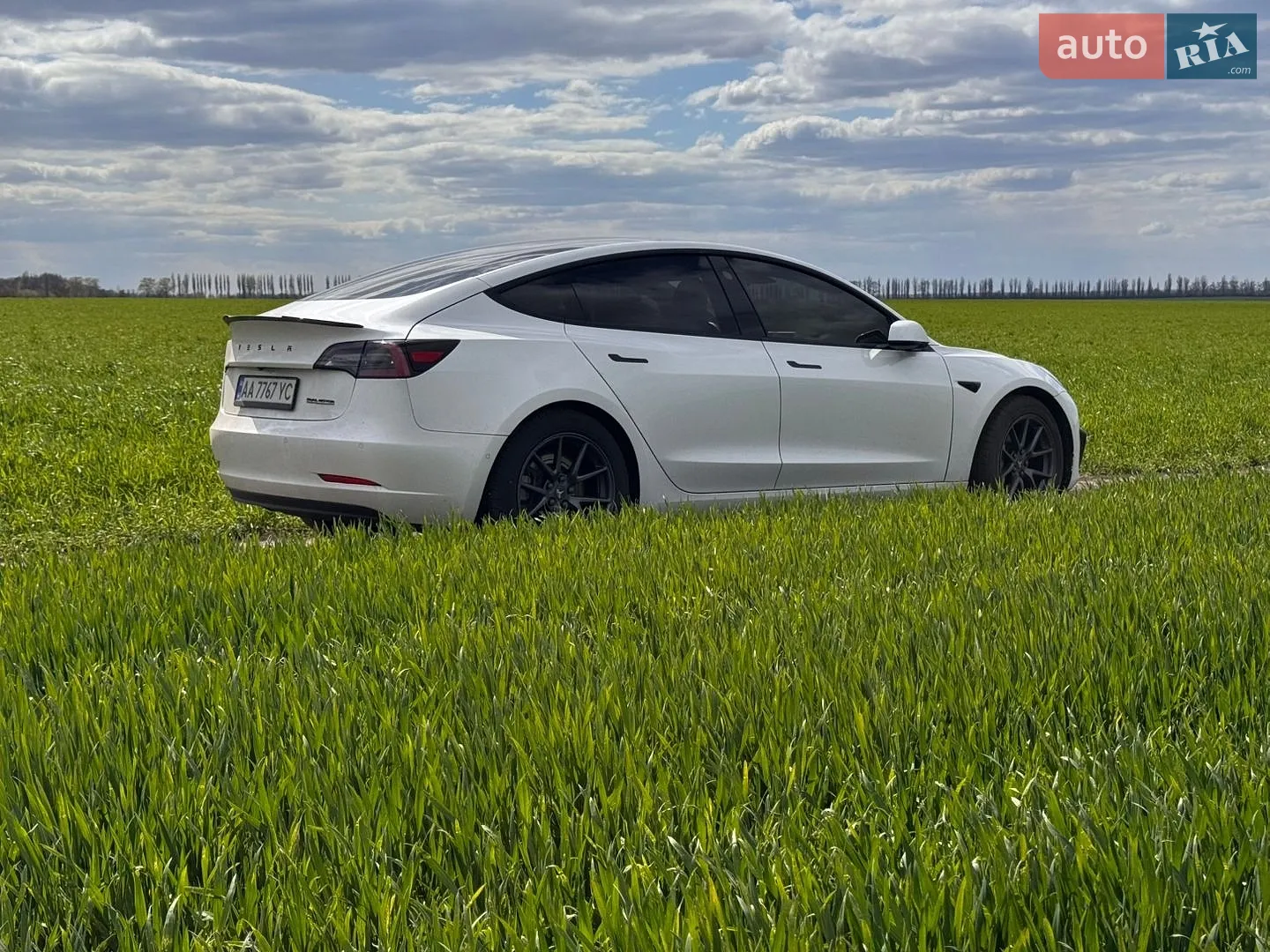 2022 Tesla Model 3 - мініатюра 4