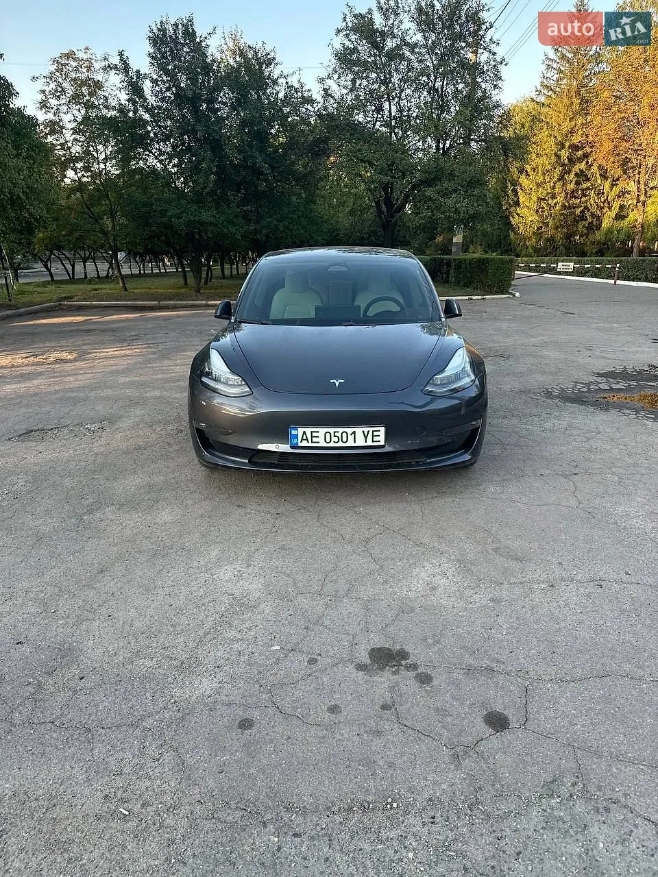 2020 Tesla Model 3 - мініатюра 3