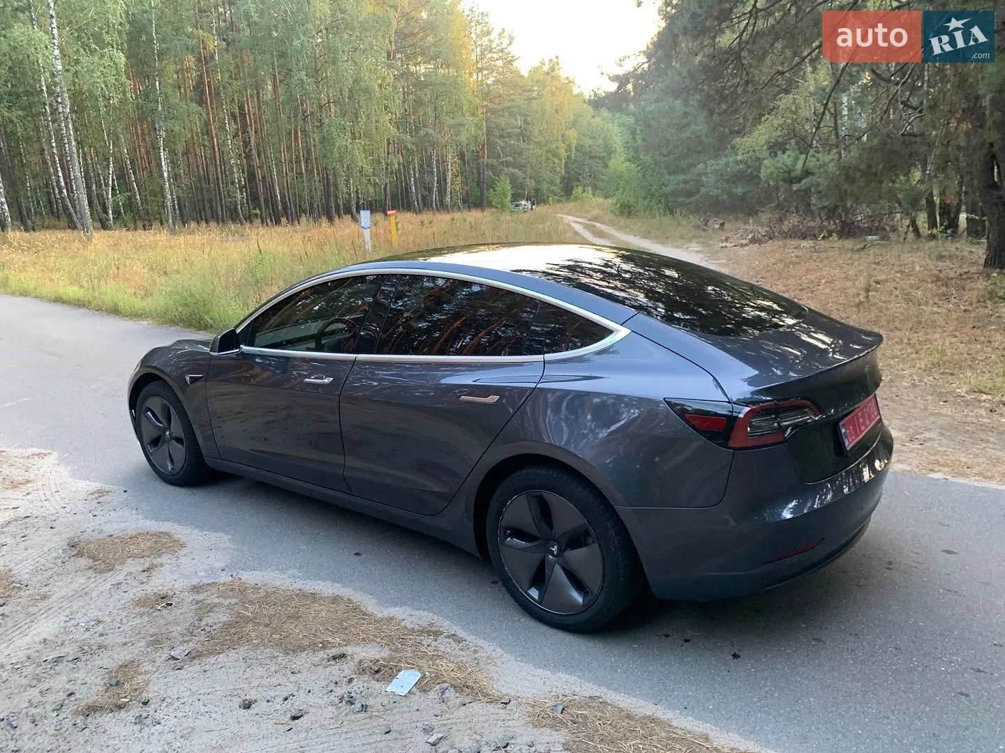 2019 Tesla Model 3 - мініатюра 5