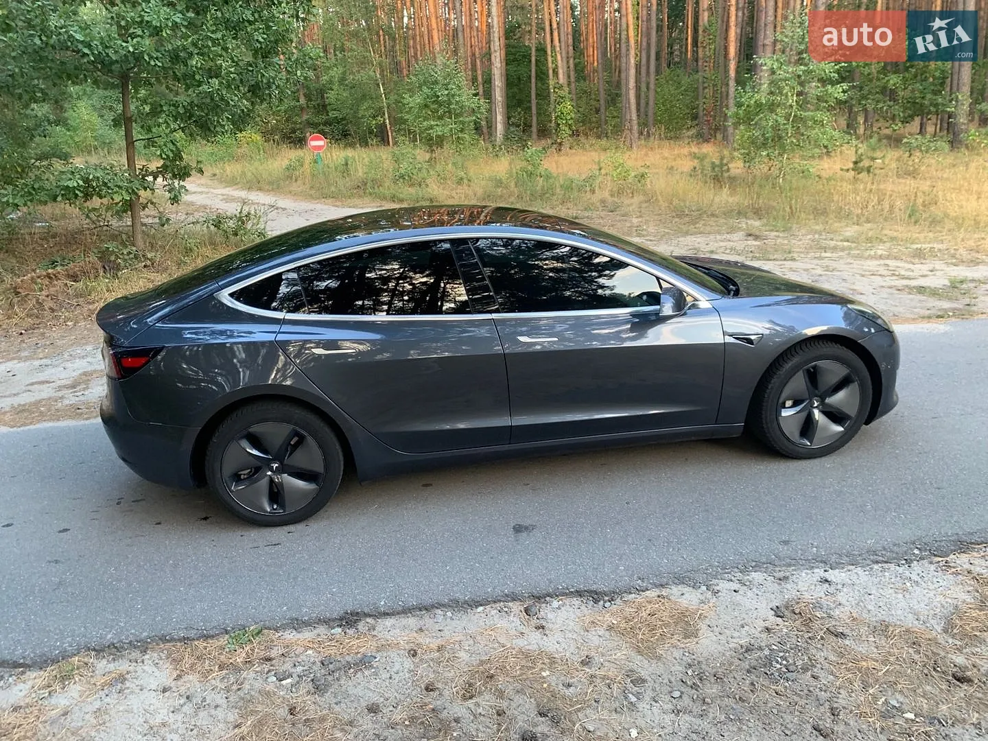 2019 Tesla Model 3 - мініатюра 10