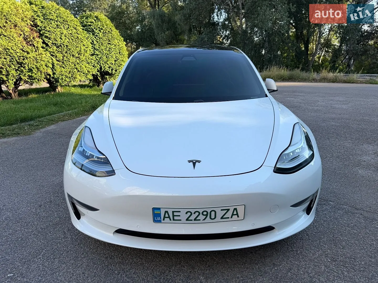 2019 Tesla Model 3 - мініатюра 22