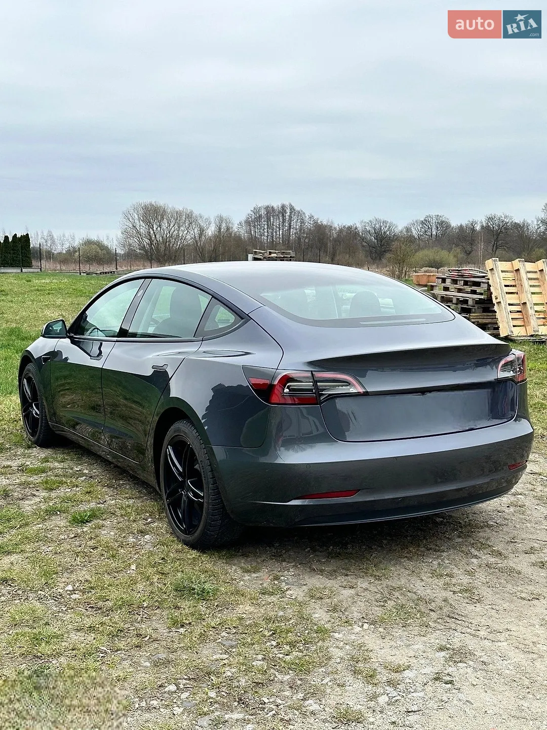 2021 Tesla Model 3 - мініатюра 6