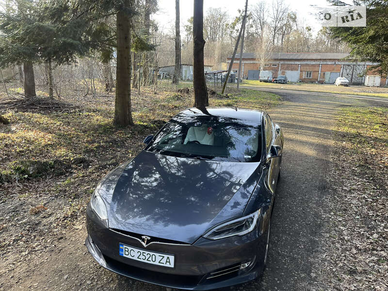 Ліфтбек Tesla Model S 2019 в Стрию