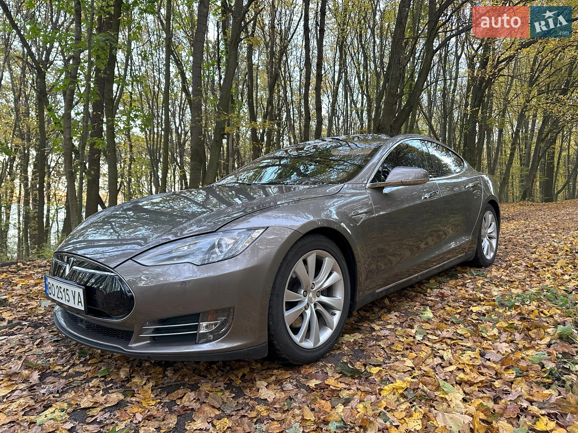 2015 Tesla Model S - мініатюра 10