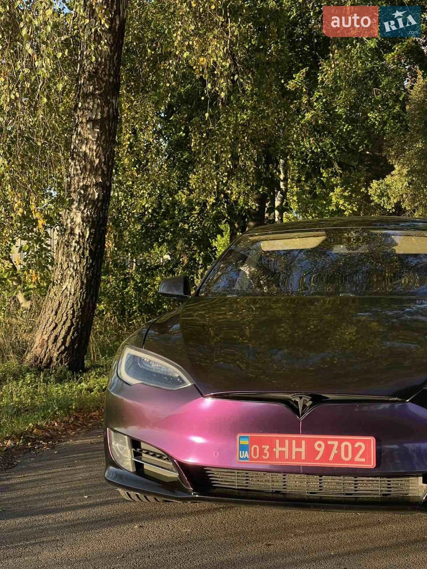 2016 Tesla Model S - мініатюра 25