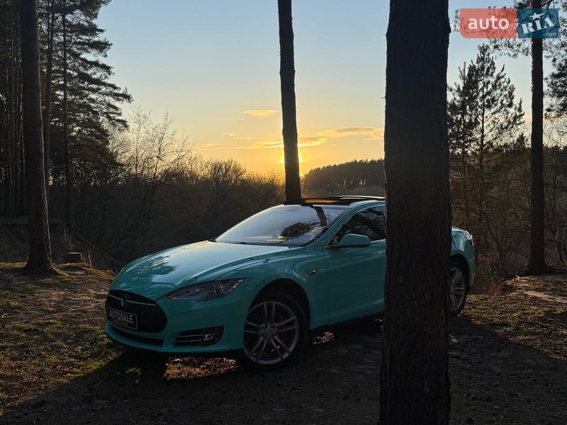 Ліфтбек Tesla Model S 2013 в Шепетівці